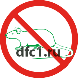 Уничтожение крыс в Ижевске